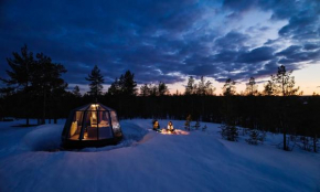Northern Lodges in Piteå